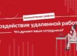Статистика воздействия-удаленной-работы
